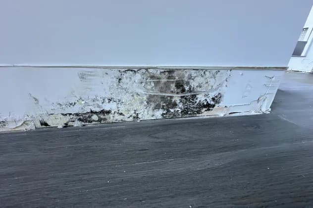 Black mould growth spreading along the base of a painted wall where it meets the floor, with the baseboard removed
